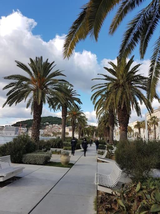 Apartment Vista Oasis With Pool And Terrace Trogir Exterior foto